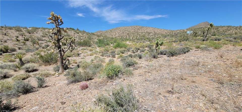 1.03 acres in White Hills in White Hills: View