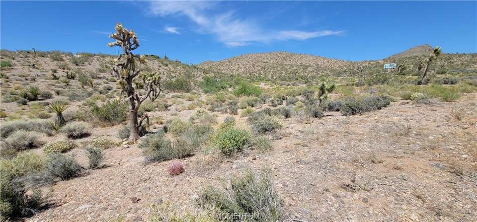 1.03 acres in White Hills in White Hills: View