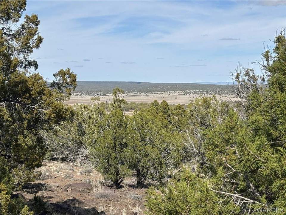 36.1 acres in Kingman in Kingman: View