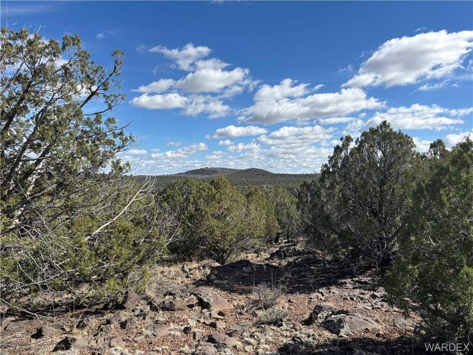 36.1 acres in Kingman in Kingman: View
