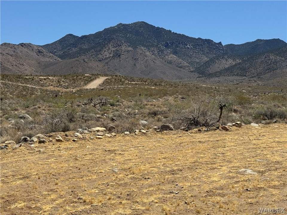19 acres in Dolan Springs in Dolan Springs: MOUNT TIPTON WILDERNESS AREA