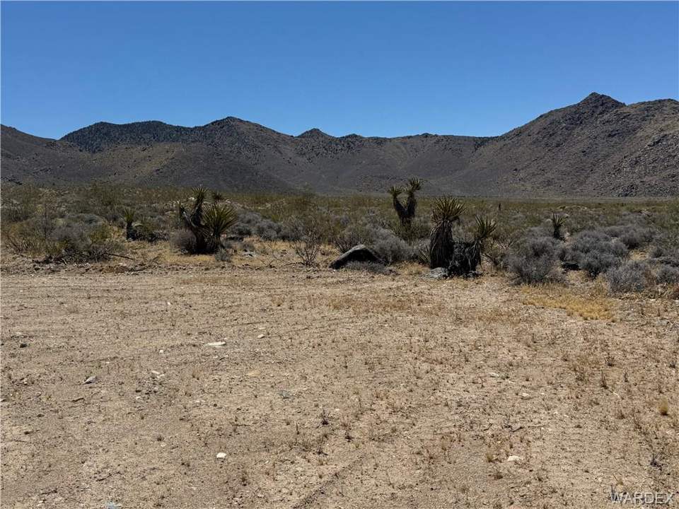 19 acres in Dolan Springs in Dolan Springs: Large slicked off pad ready for your immediate enj