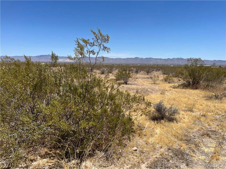 23.68 acres in Golden Valley in Golden Valley: Standing on S Egar on West Property Line Looking t
