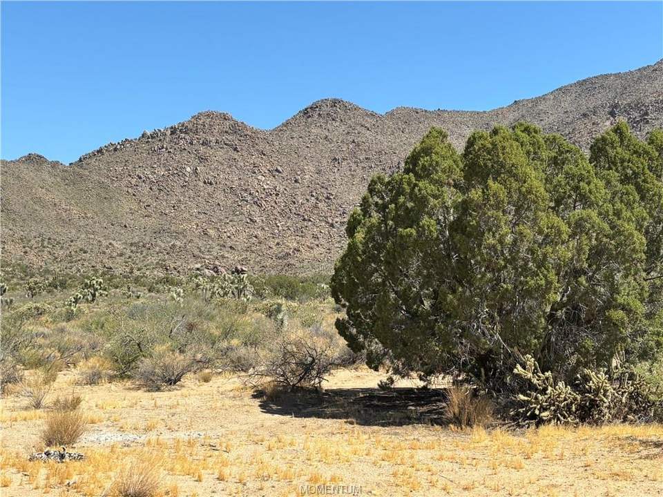 2 bed, 1 bath home on 38.55 acres in Yucca: 360 views and not a neighbor in sight