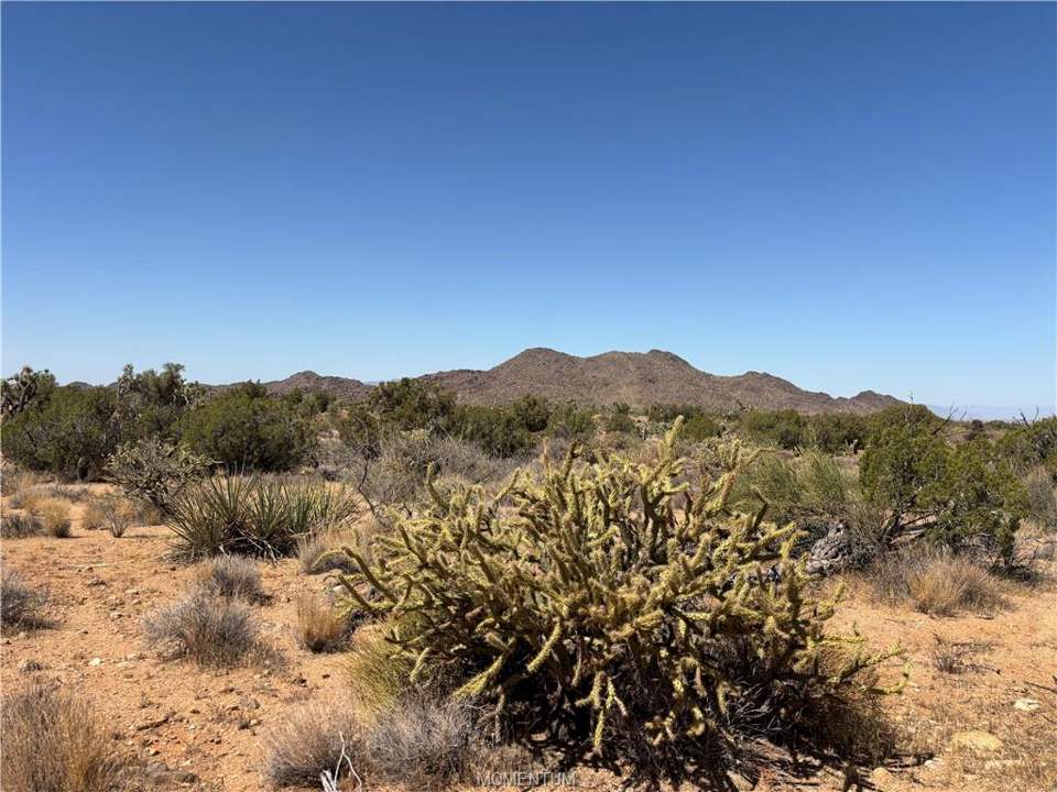 2 bed, 1 bath home on 38.55 acres in Yucca: property is ringed with close mountains on the wes