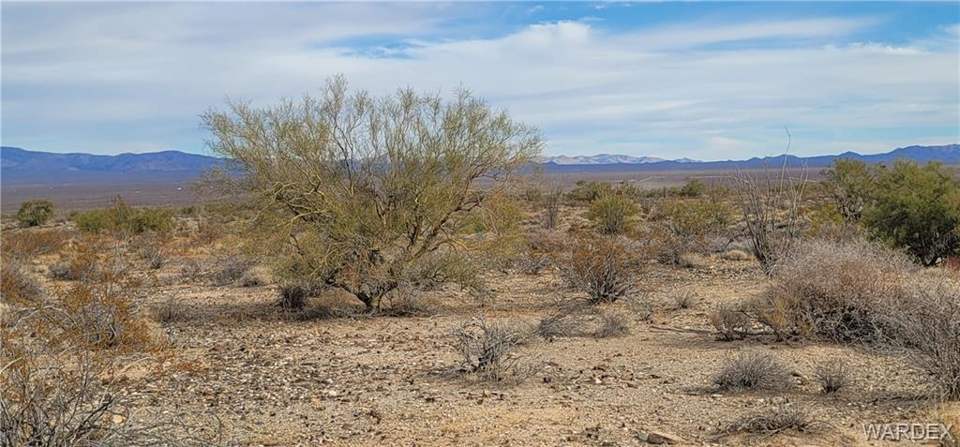 160 acres in Yucca in Yucca: View