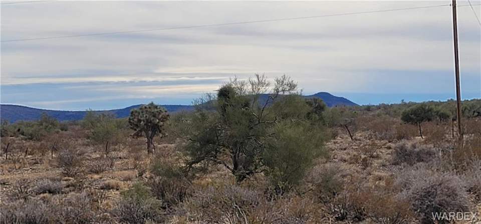 160 acres in Yucca in Yucca: View