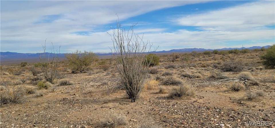 160 acres in Yucca in Yucca: View
