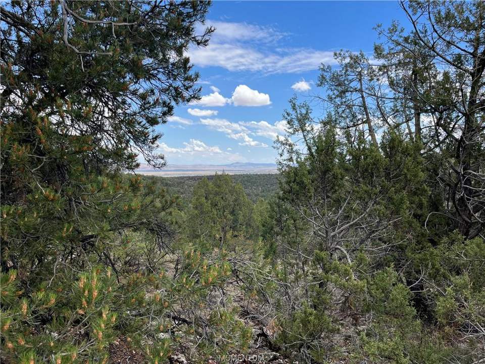 75.86 acres in Seligman in Seligman: Look at that panoramic view of Aubrey Cliffs, 12+
