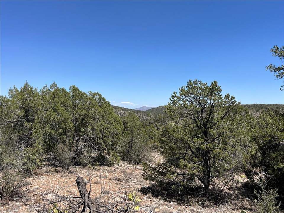 75.86 acres in Seligman in Seligman: On a super-clear, cloudless day, you can see the S