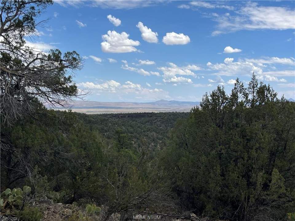 75.86 acres in Seligman in Seligman: View