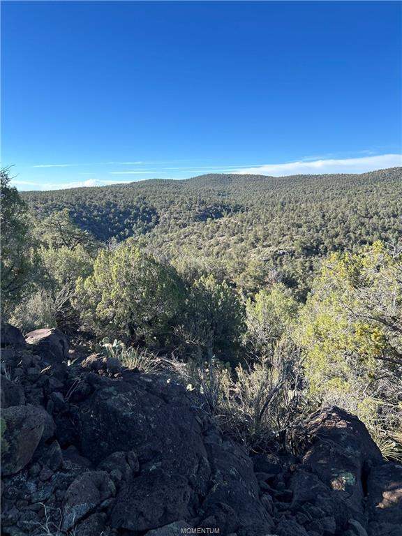 75.86 acres in Seligman in Seligman: A photo taken later in the day looking into the ca