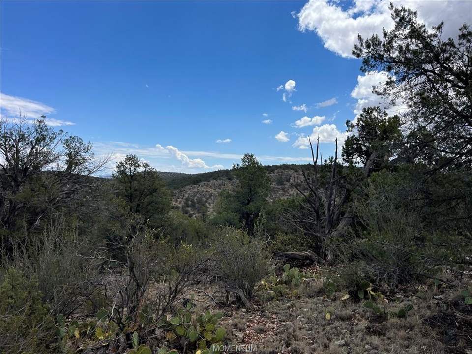 75.86 acres in Seligman in Seligman: The cliff face in the distance is on State Trust l