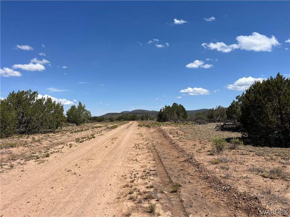 19.08 acres in Seligman in Seligman: From SW corner, looking north along Dunkster road.