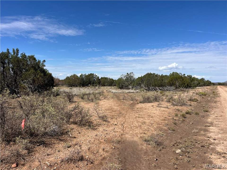 19.08 acres in Seligman in Seligman: From NE pin, looking west along Younger Trail.