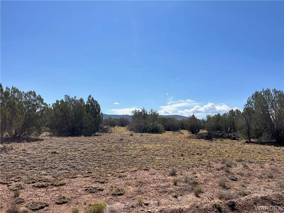 19.08 acres in Seligman in Seligman: Looking north from middle of property.