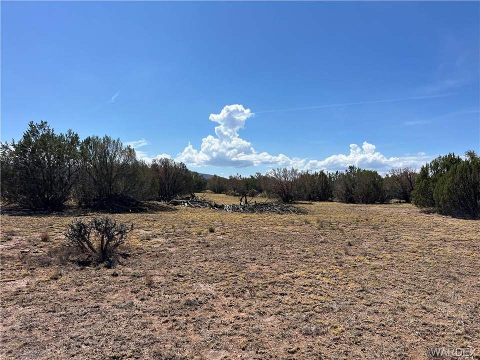 19.08 acres in Seligman in Seligman: More views from middle of property.