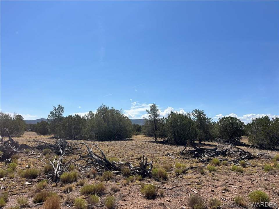 19.08 acres in Seligman in Seligman: Firewood to process for your campfires!