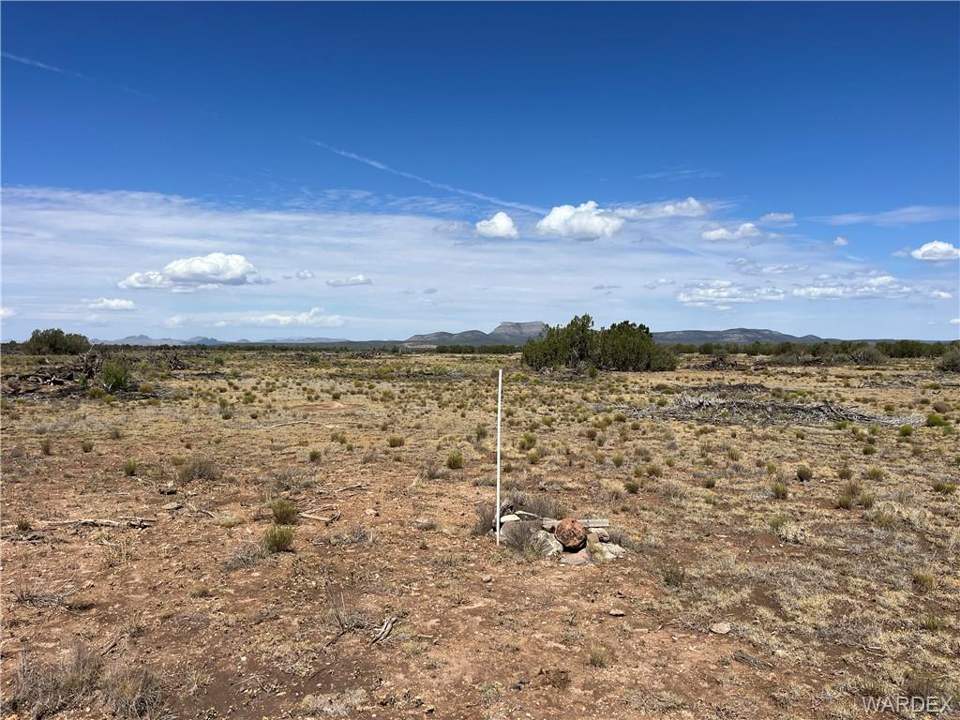 19.08 acres in Seligman in Seligman: Actual pin found on the SW corner.