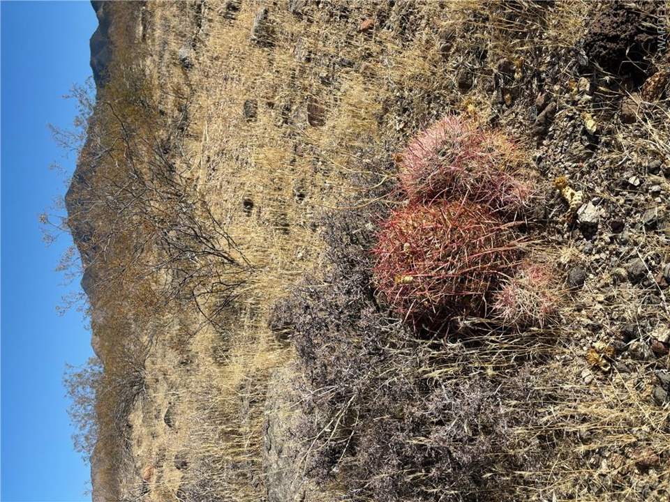 Approximately 5-acre homesite in Dolan Springs, photo 10