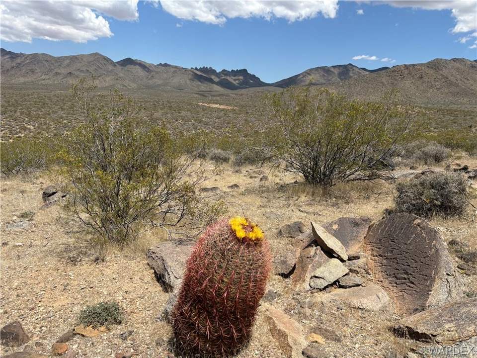 Approximately 5 acres in Dolan Springs in Dolan Springs: This desert is full of beautiful surprises - enjoy