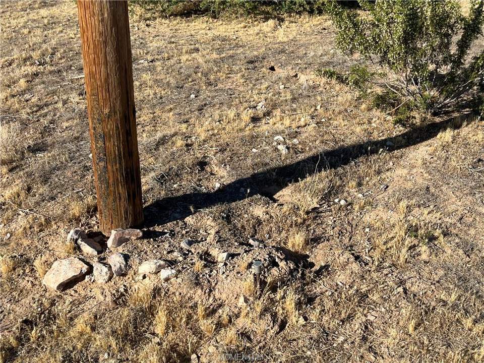 3.75 acres in Golden Valley in Golden Valley: Looking at NE property Corner Marker for 306-53-12