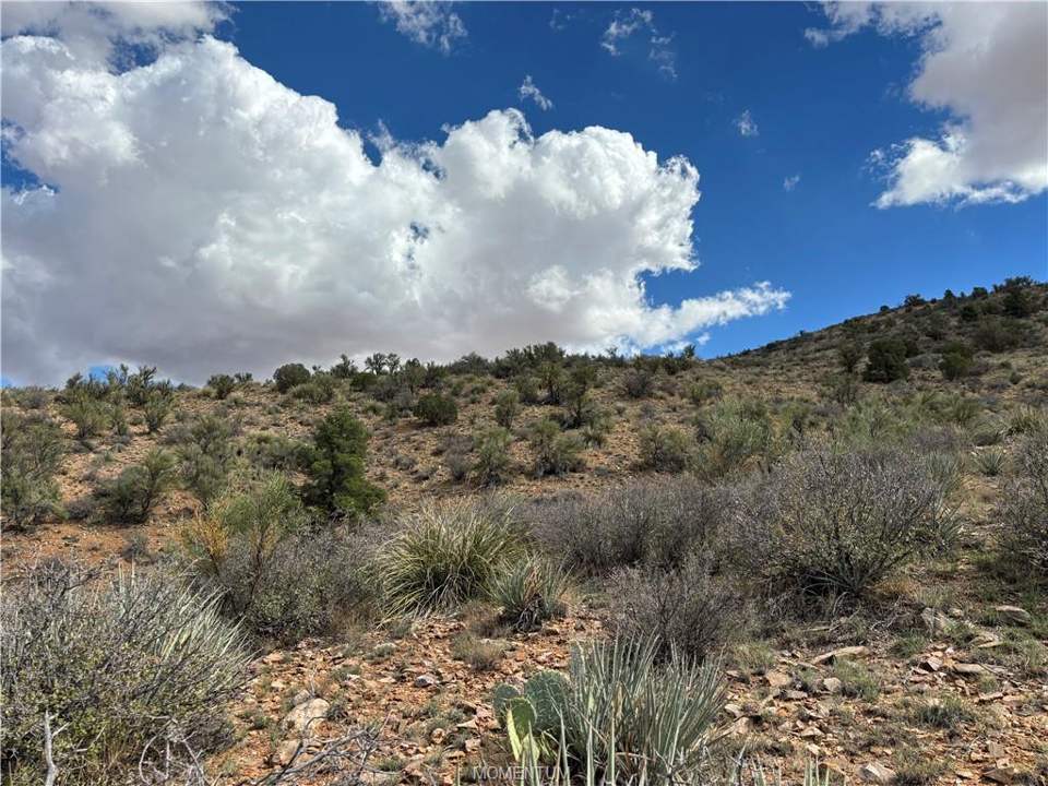 120 acres in Kingman in Kingman, photo 10