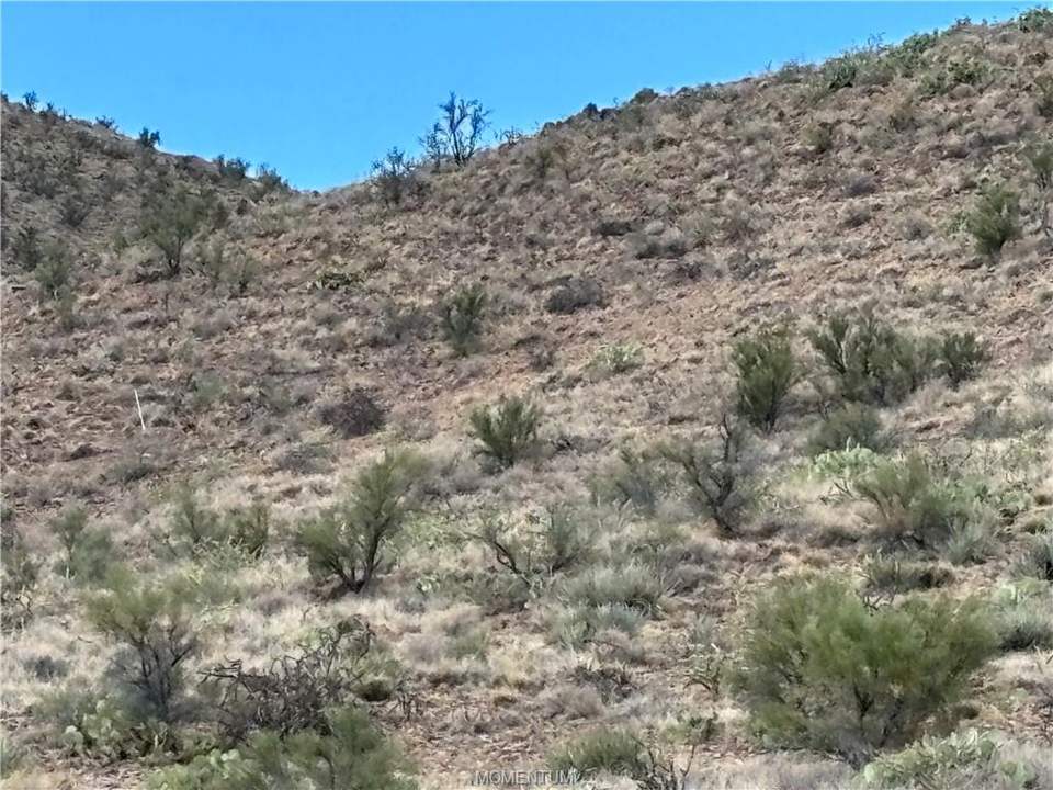 120 acres in Kingman in Kingman, photo 5