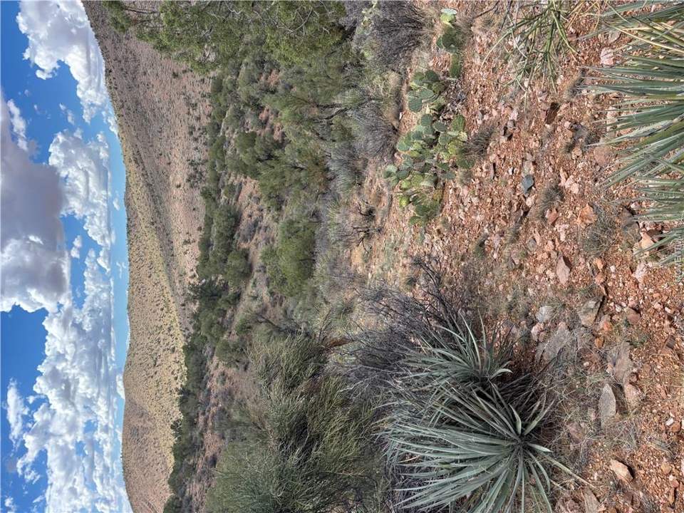 120 acres in Kingman in Kingman: View