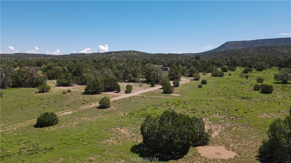 Rustic dry cabin on 18.86 acres in Seligman: View