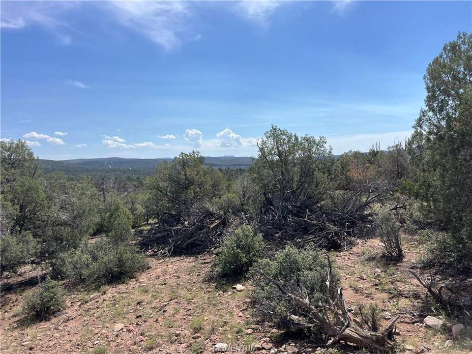 36.1 acres in Kingman in Kingman: Juniper and Pinion Pine are plentiful