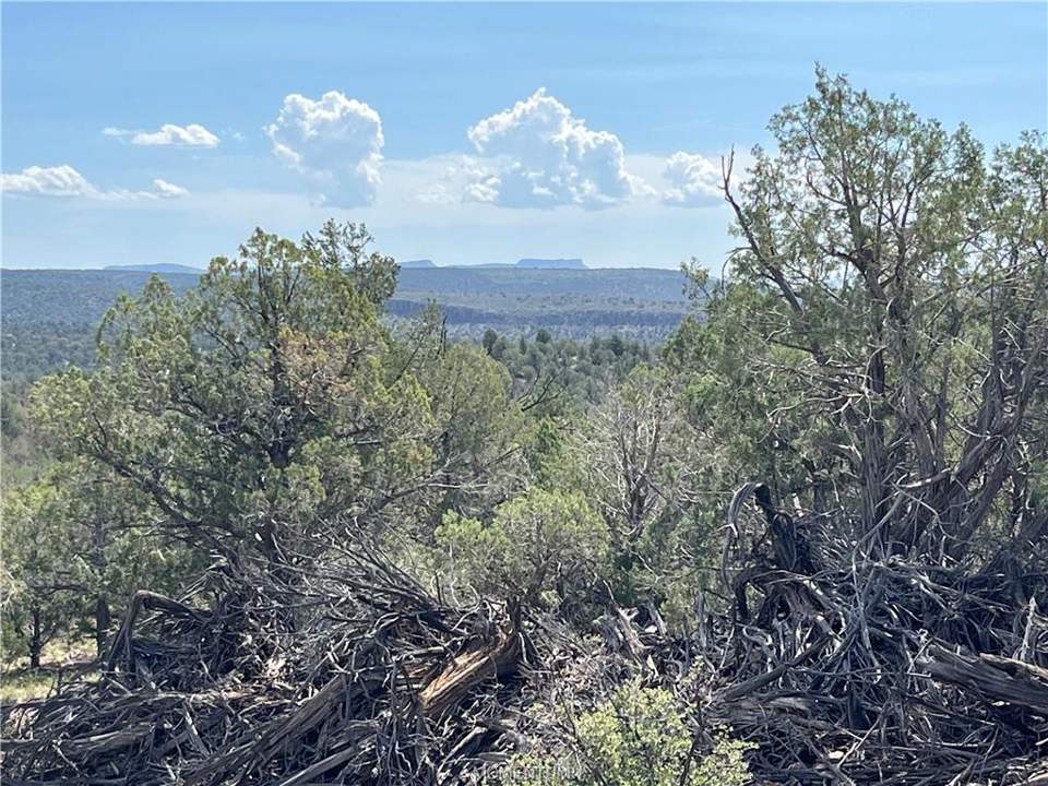 36.1 acres in Kingman in Kingman: View of Cross Mountain.