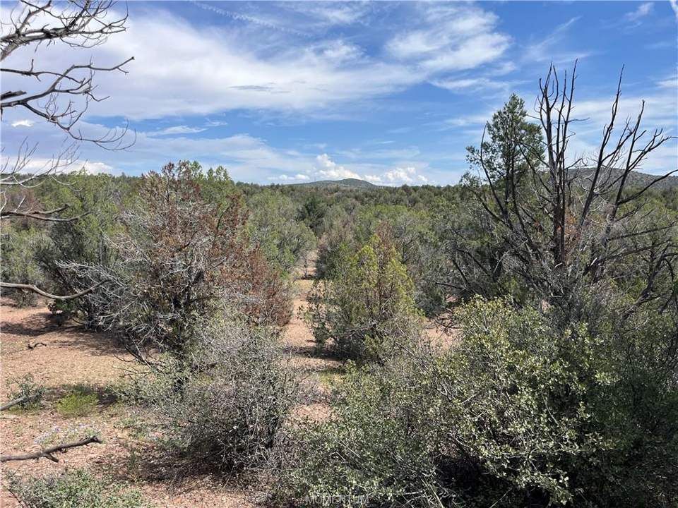 36.1 acres in Kingman in Kingman: Hiking east of pad, near center of property where