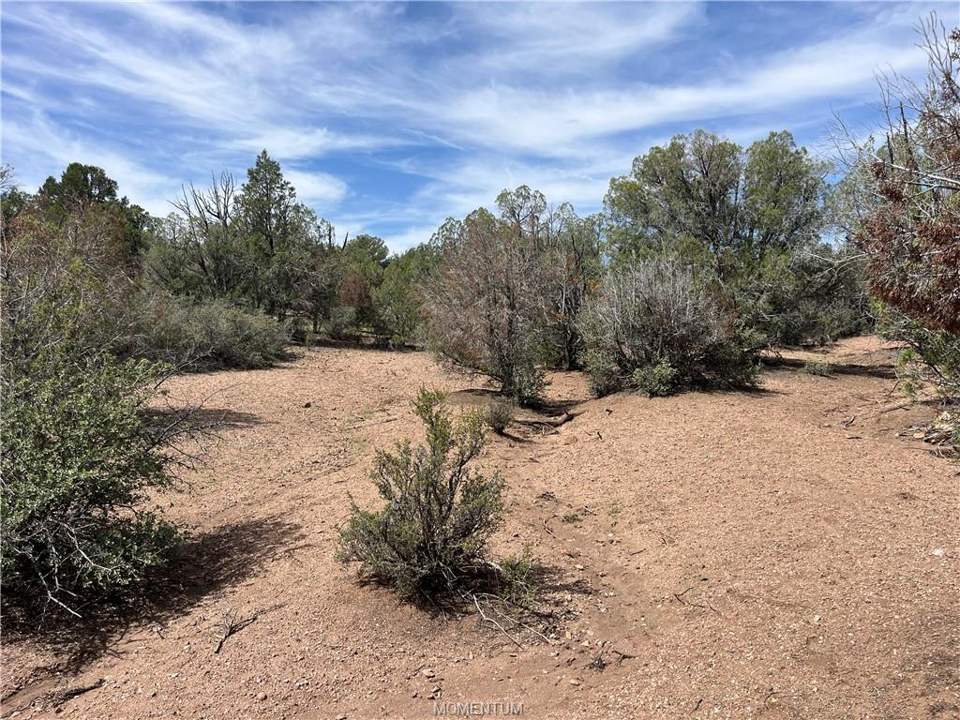 36.1 acres in Kingman in Kingman: Center of property