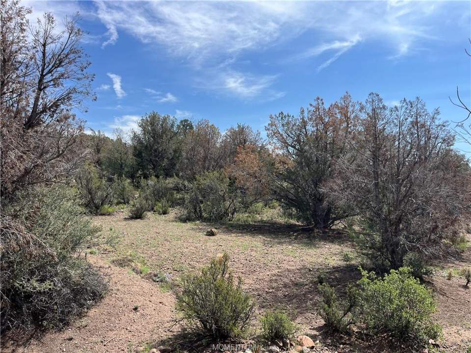 36.1 acres in Kingman in Kingman: Just east of center of property
