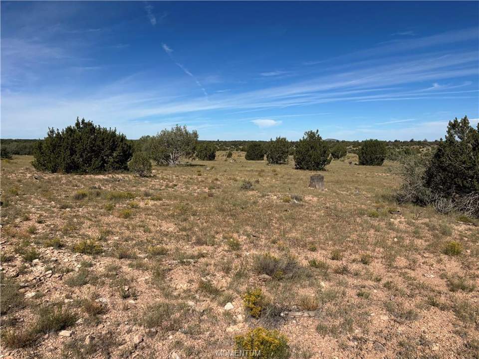 40 acres in Seligman in Seligman, photo 10
