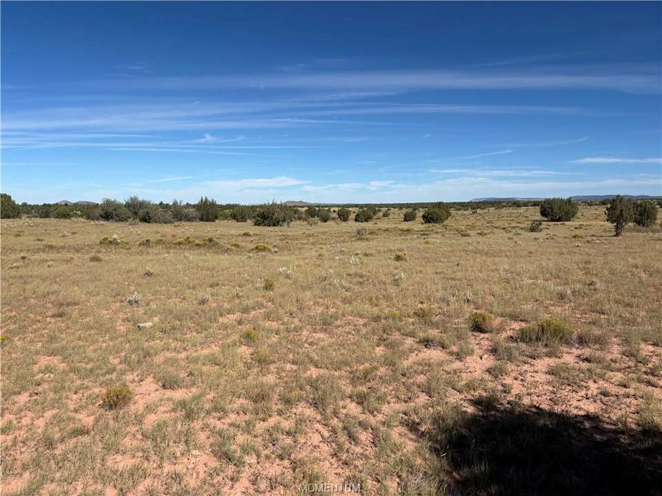 40 acres in Seligman in Seligman, photo 5