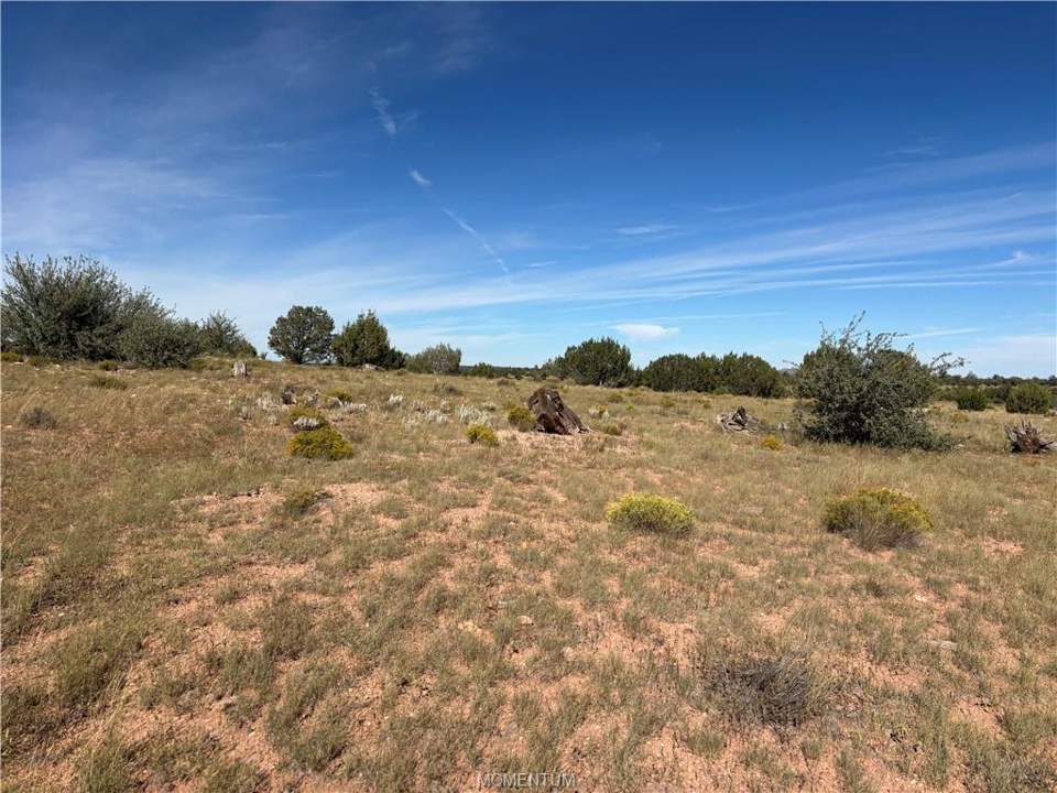 40 acres in Seligman in Seligman, photo 6