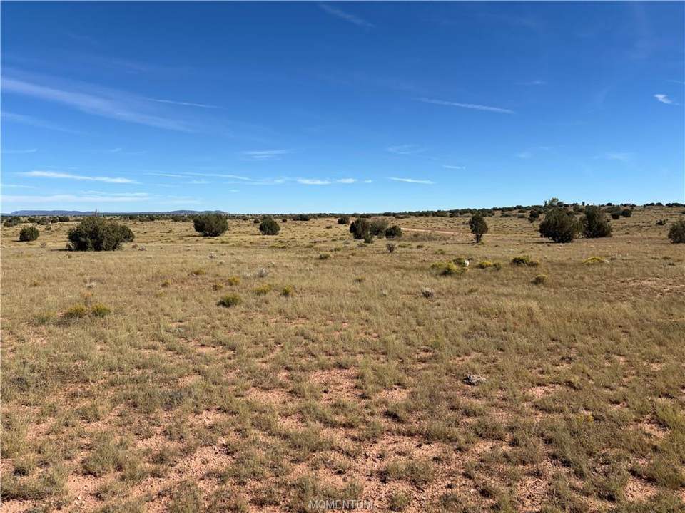 40 acres in Seligman in Seligman, photo 7