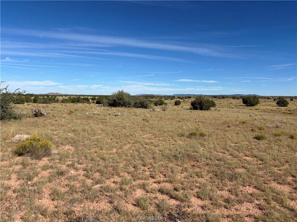 40 acres in Seligman in Seligman, photo 8