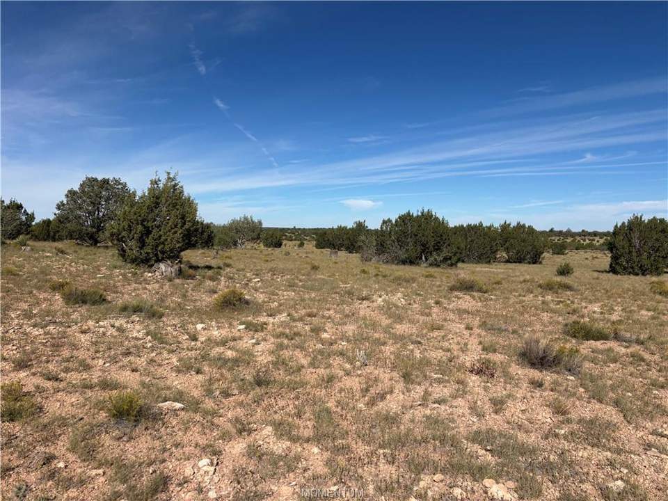 40 acres in Seligman in Seligman, photo 9