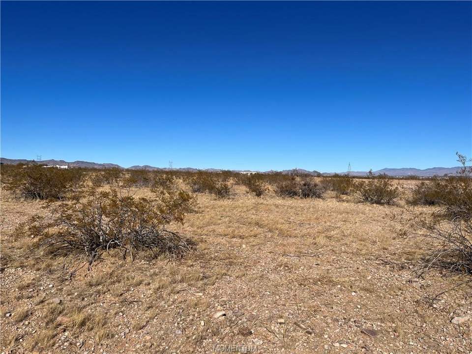 2.3714 acres in Golden Valley in Golden Valley: Lot View Looking Due North From SE Property Marker