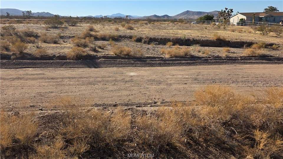 1.03 acres in White Hills in White Hills: View
