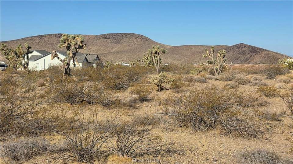 1.03 acres in White Hills in White Hills: View
