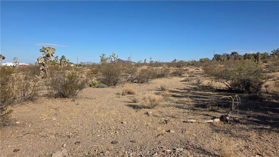 1.03 acres in White Hills in White Hills, photo 6