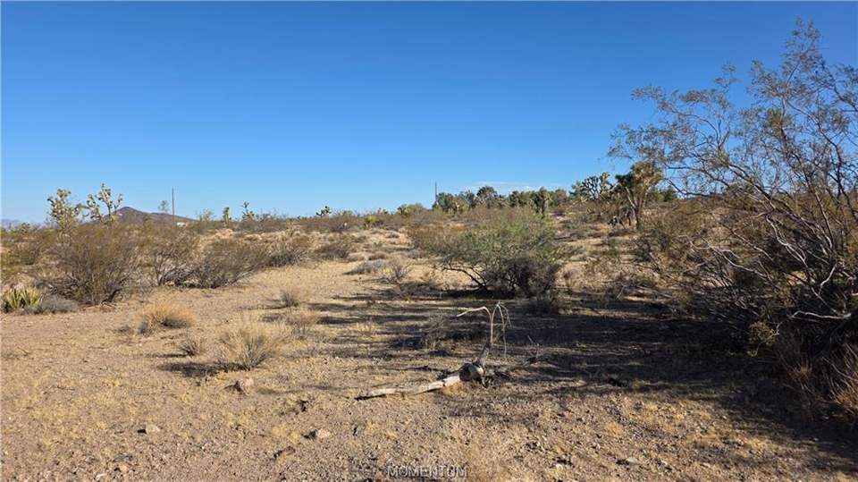 1.03 acres in White Hills in White Hills, photo 7