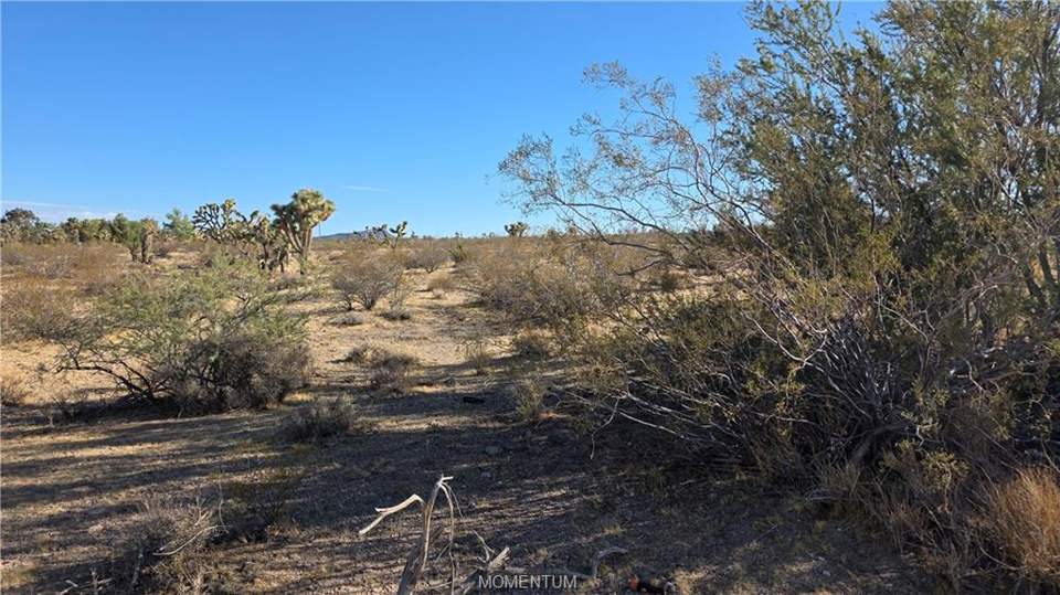 1.03 acres in White Hills in White Hills, photo 8