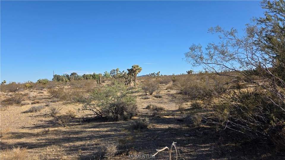 1.03 acres in White Hills in White Hills, photo 9