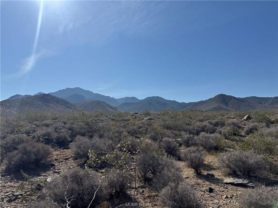 Approximately 5 acres in Dolan Springs in Dolan Springs: Pristine undisturbed Desert in all directions