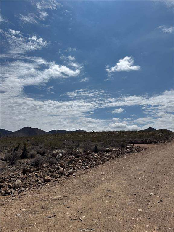Approximately 5 acres in Dolan Springs in Dolan Springs: View